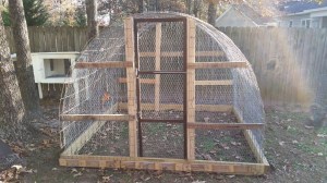 All finished except for a shelter and birds.